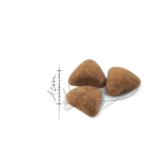 Royal Canin İndoor Kedi Maması 2kg