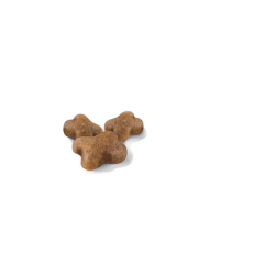 Royal Canin Kitten 4kg Yavru Kedi Maması