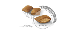 Royal Canin Mini Exigent Köpek Maması 3kg