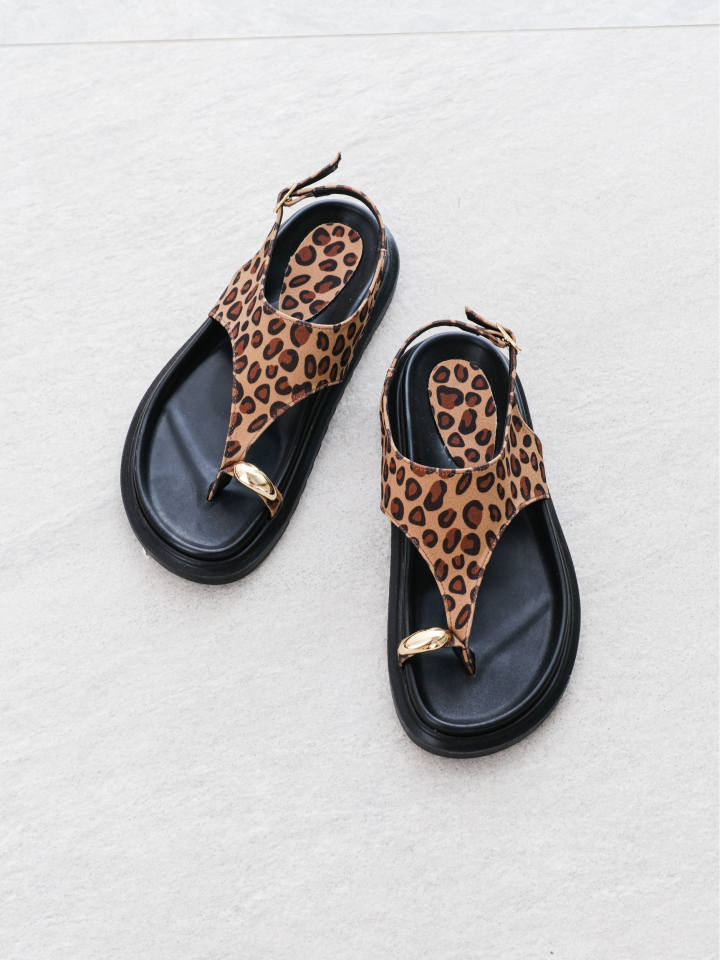 leopar