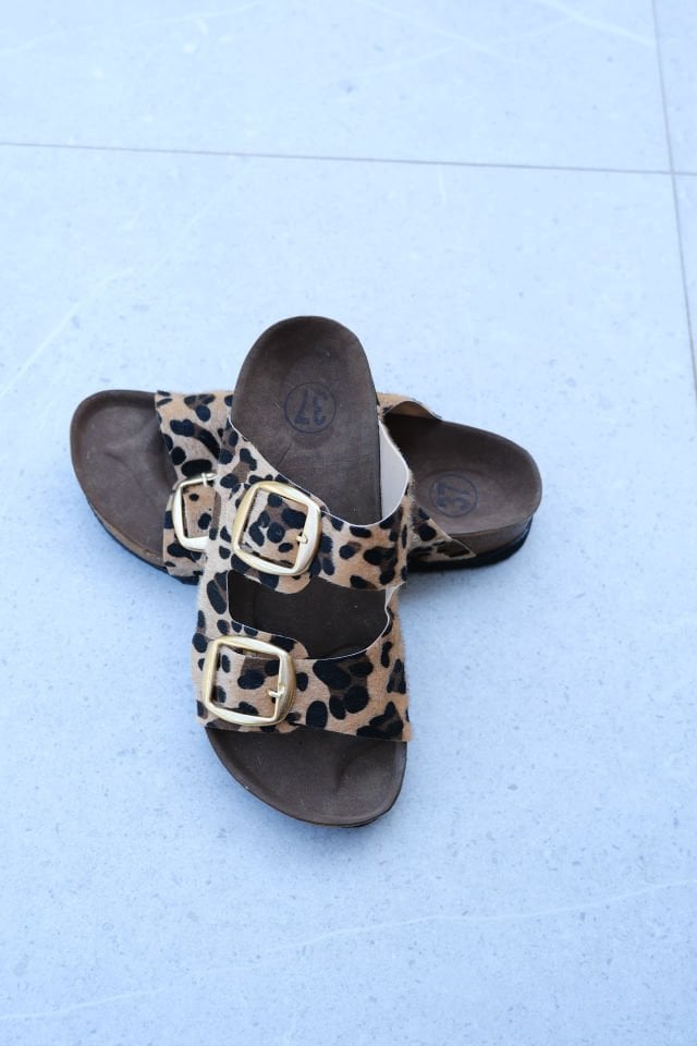 leopar