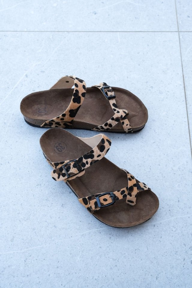 leopar