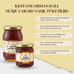 Kestane Orman Balı (500 g)