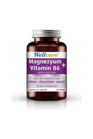 Wellcare Magnezyum + Vitamin B6 30 Tablet