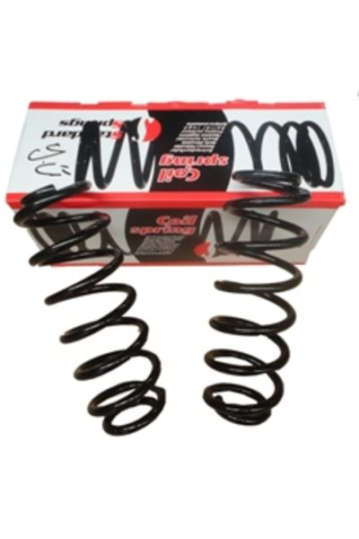 Peugeot 307 06/08 Arka Helezon Yayı Sağ/sol (2li Set)(11,75x108) (Stdr)