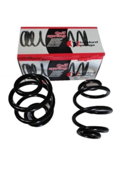 Bmw 3 Seri E46 Sd/coupe 98/05 Arka Helezon Yayı Sağ/sol (2li Set)316/318i(stdr)