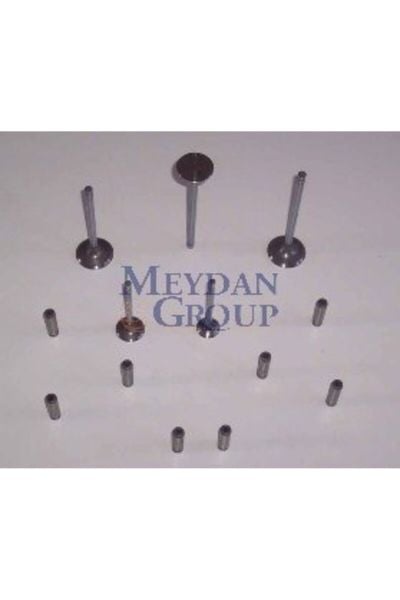Nissan Sunny B11 Cd17 84/86 Uyumlu Emme/egzost Supap Gaydı (Yolluk) 1.7cc (8li) (Arm)