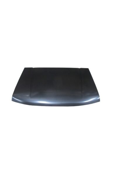 Dfm Pıck Up- Rıch- 10/12; Motor Kaputu (my)-f51003s9mm