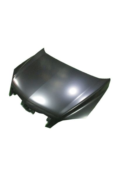Opel Antara- 07/11; Motor Kaputu (TW) 95493908