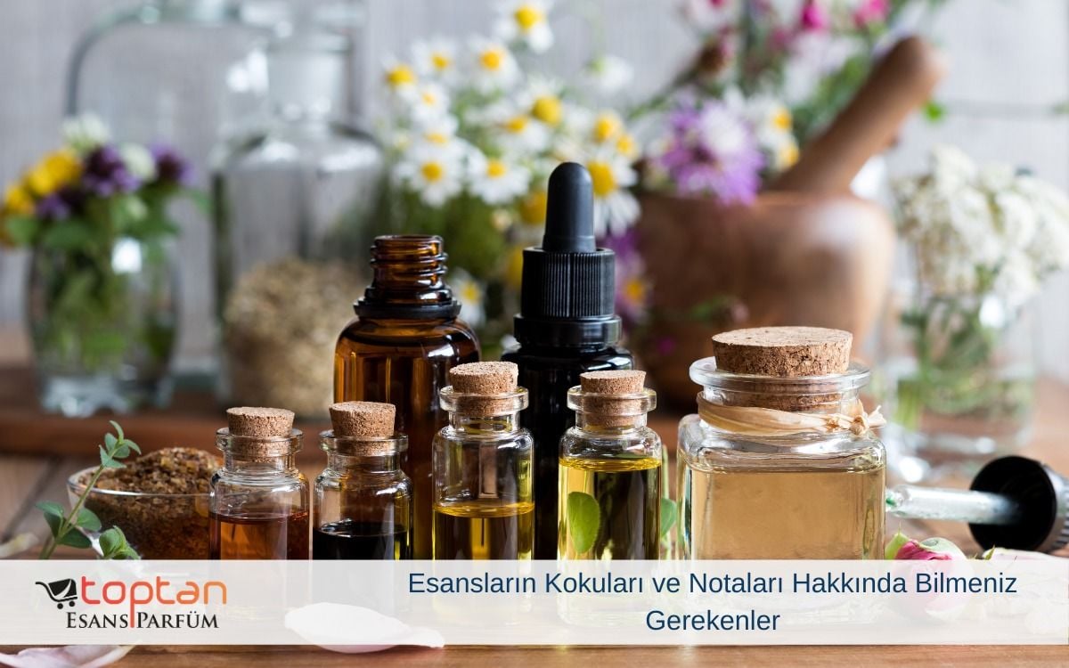 Esansların Kokuları ve Notaları Hakkında Bilmeniz Gerekenler