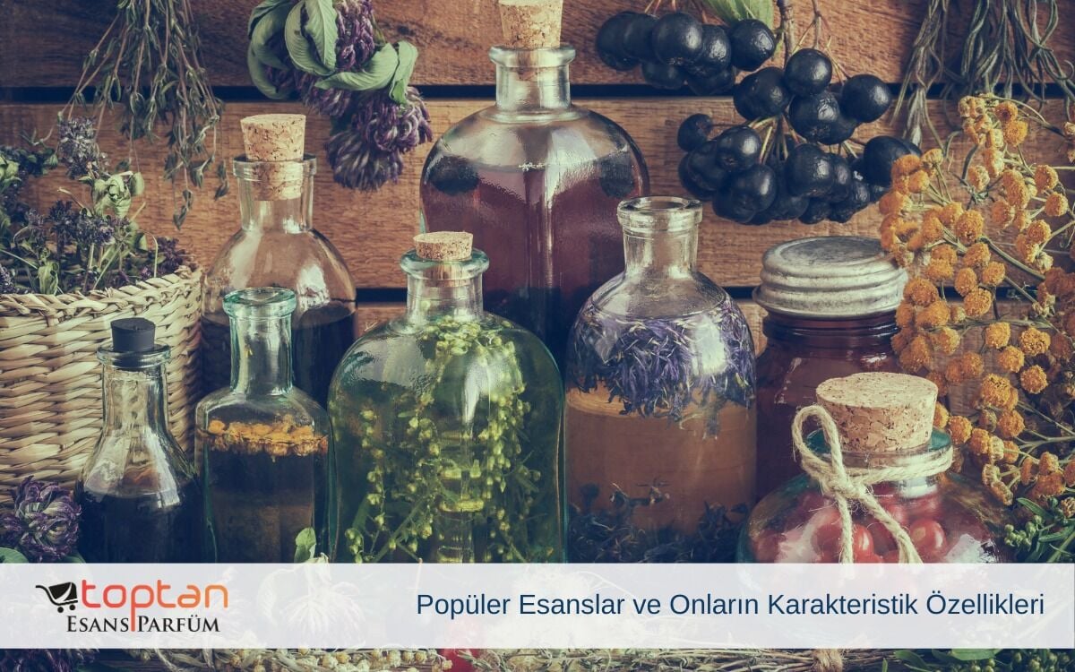 Popüler Esanslar ve Onların Karakteristik Özellikleri