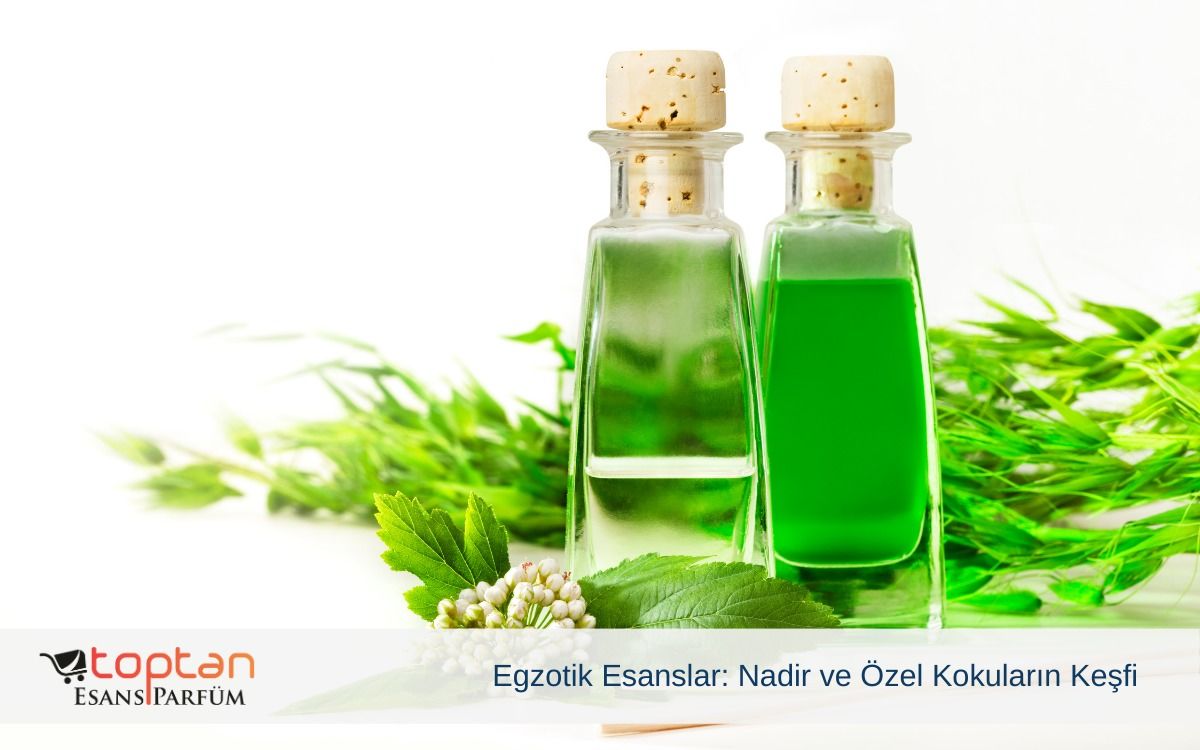 Egzotik Esanslar: Nadir ve Özel Kokuların Keşfi