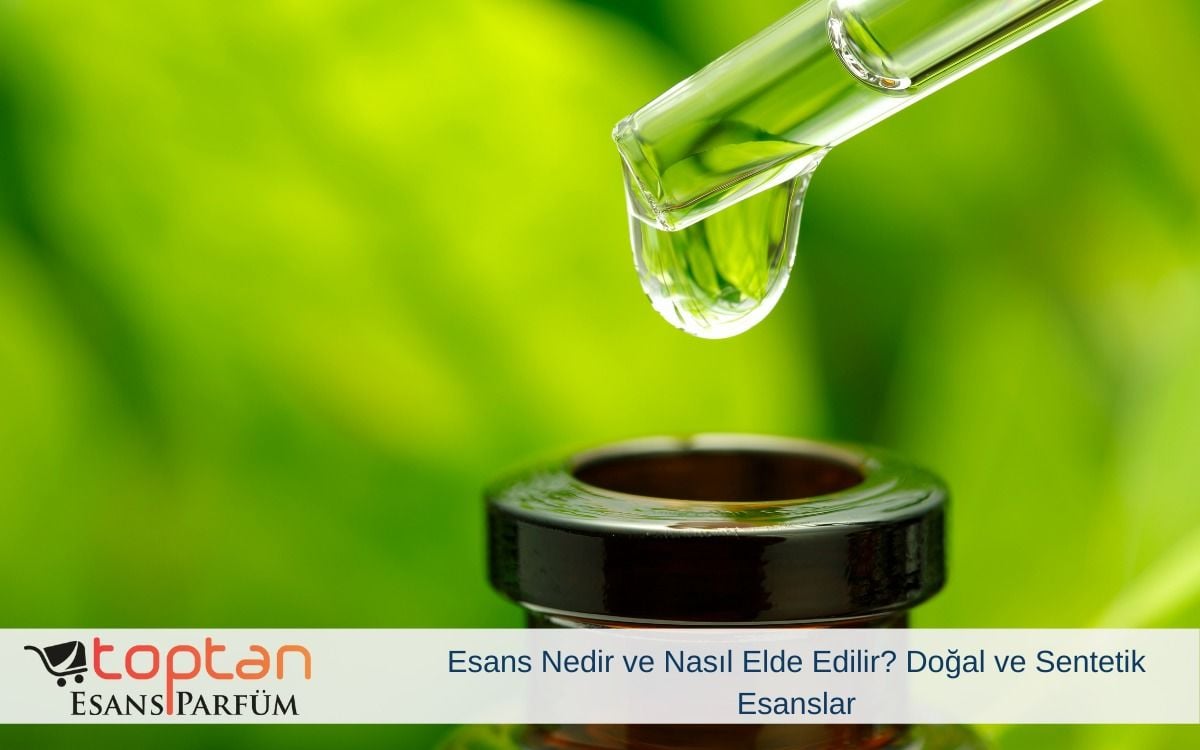 Esans Nedir ve Nasıl Elde Edilir? Doğal ve Sentetik Esanslar