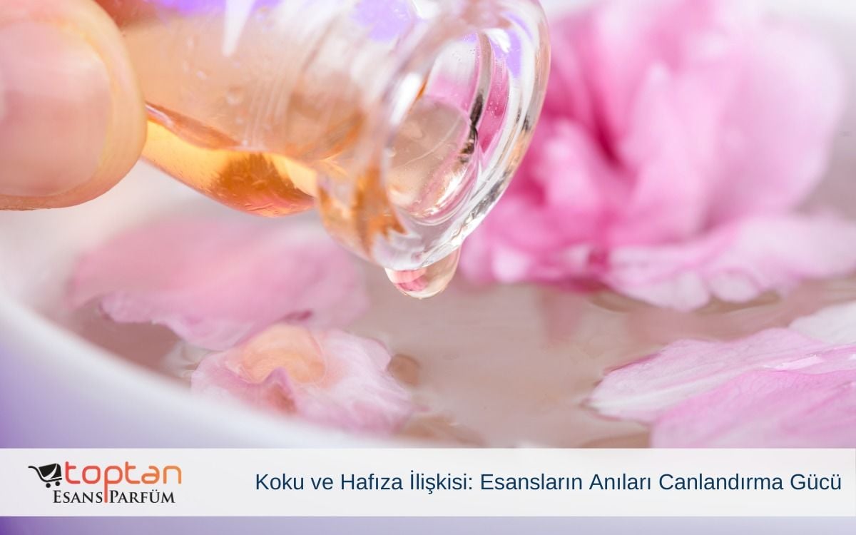 Koku ve Hafıza İlişkisi: Esansların Anıları Canlandırma Gücü