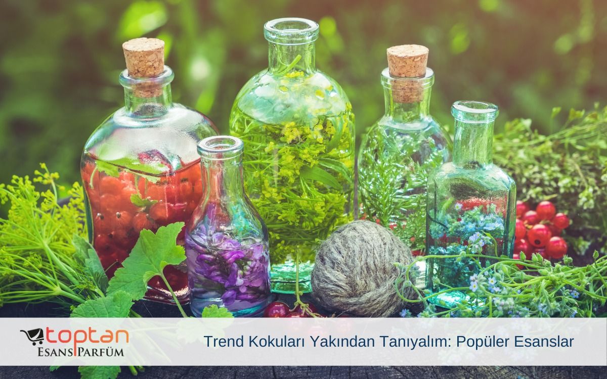 Trend Kokuları Yakından Tanıyalım: Popüler Esanslar