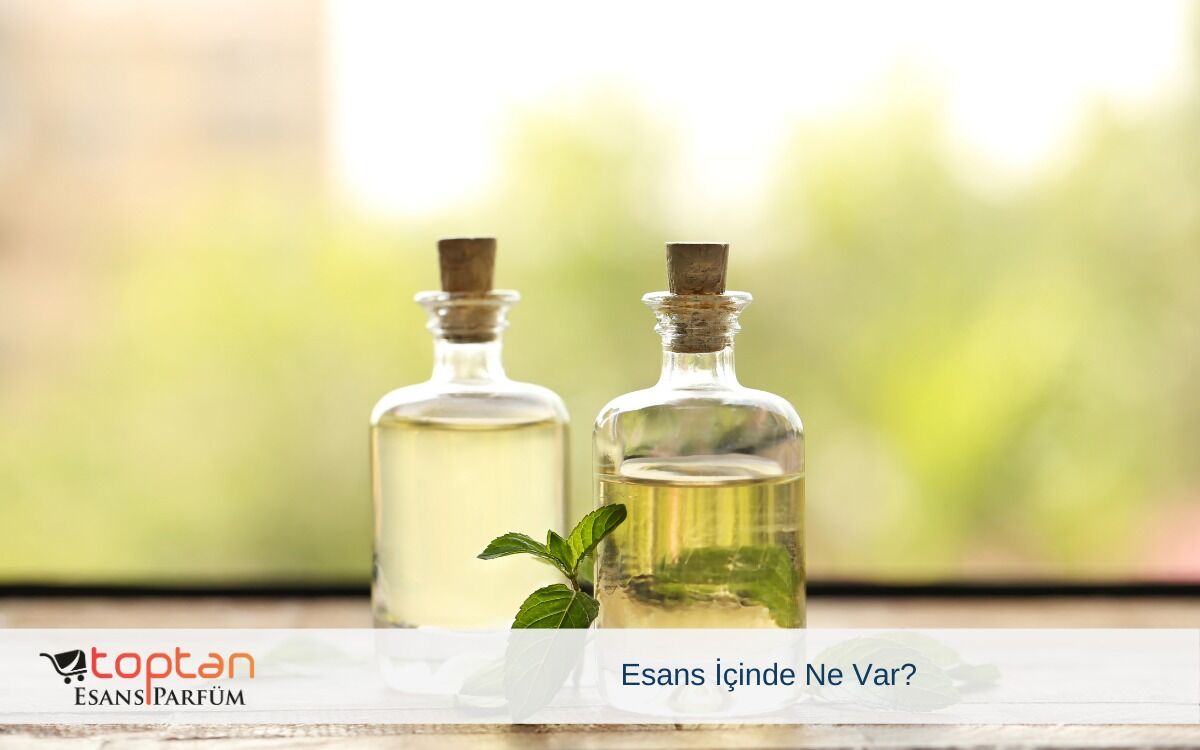 Esans İçinde Ne Var?
