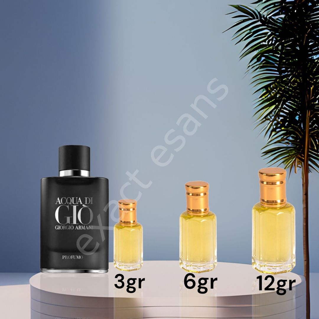 E-66 Armani Profumo Erkek Parfüm Esans