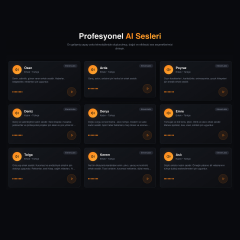 SesMatik AI Seslendirme Profesyonel Paket