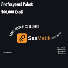 SesMatik AI Seslendirme Profesyonel Paket
