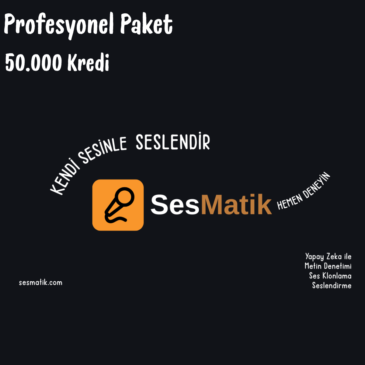 SesMatik AI Seslendirme Profesyonel Paket