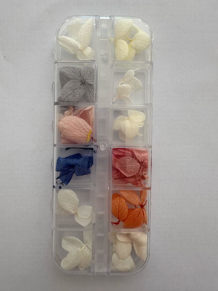 Kuru Çiçek Tırnak Süs T241