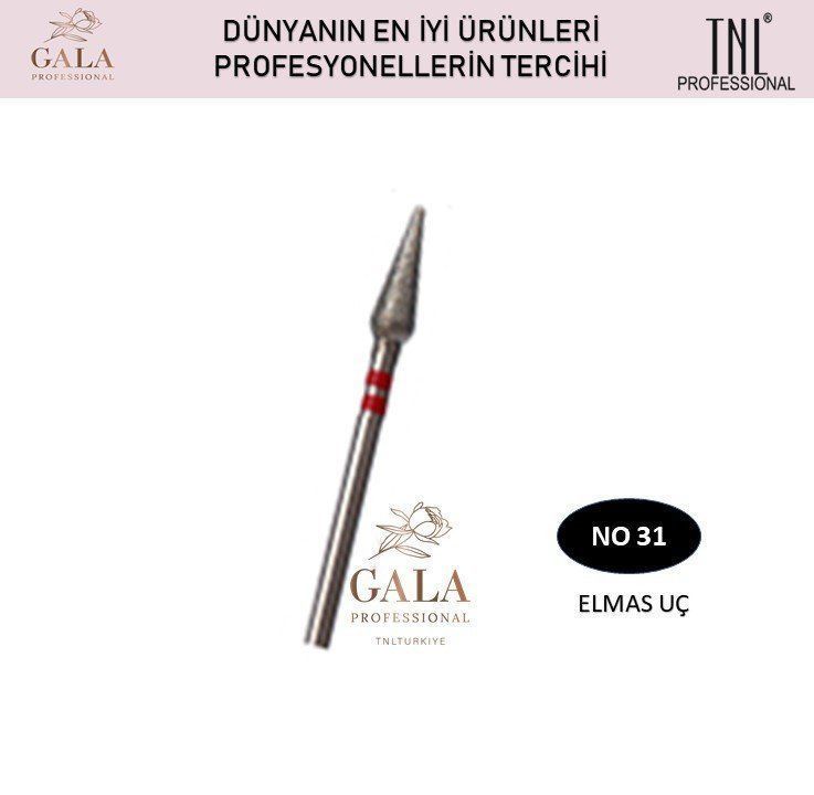 GALA ELMAS UÇ NO:31