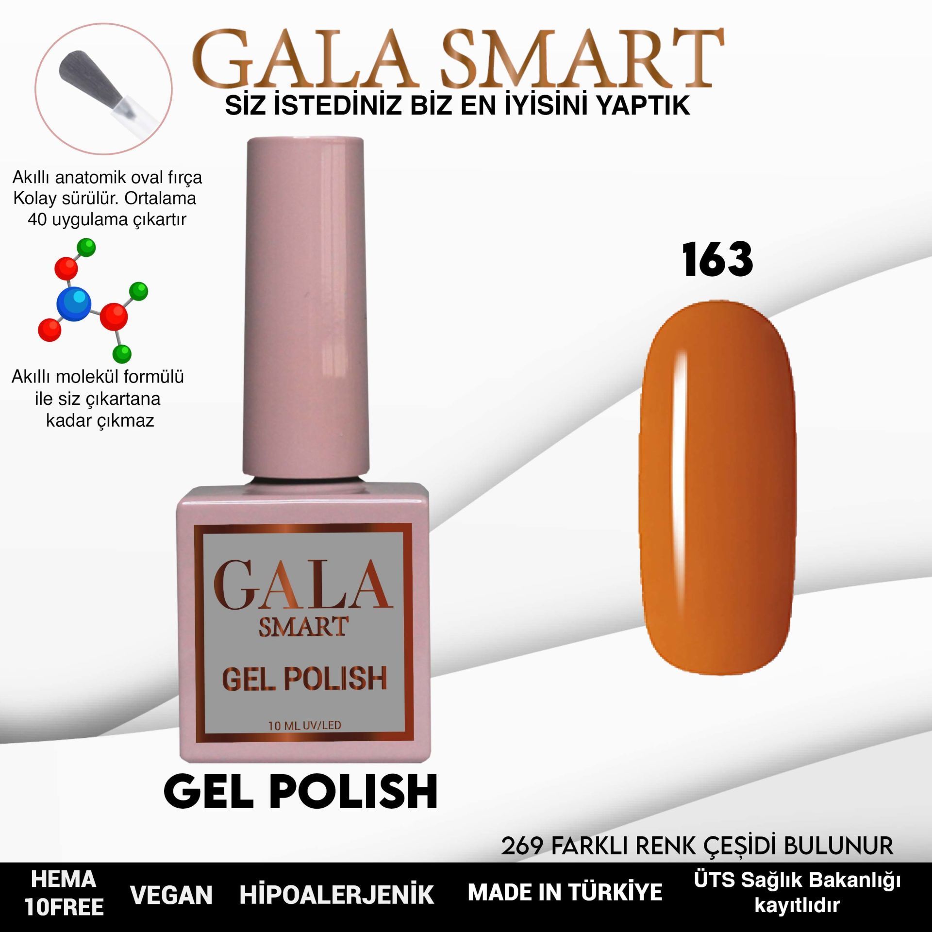 GALA CLASSİC KALICI OJE 10 mle 163
