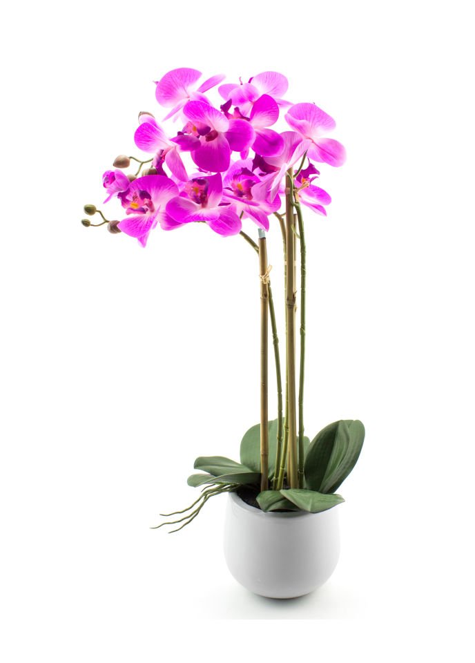 Mor Saksılı Orkide 84 cm