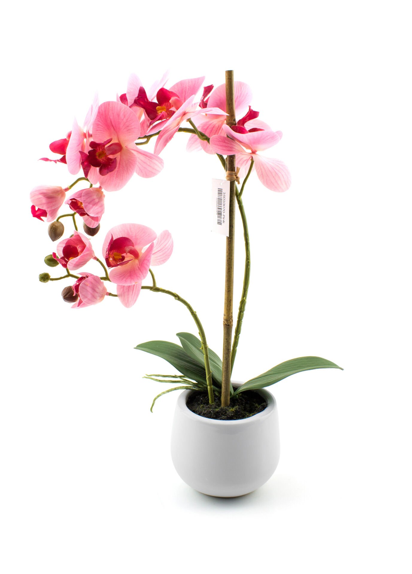 Pembe Saksılı Orkide 48 cm