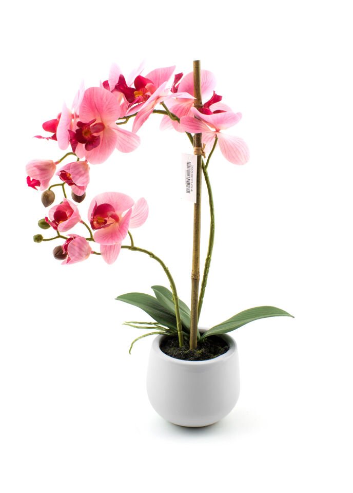 Pembe Saksılı Orkide 48 cm