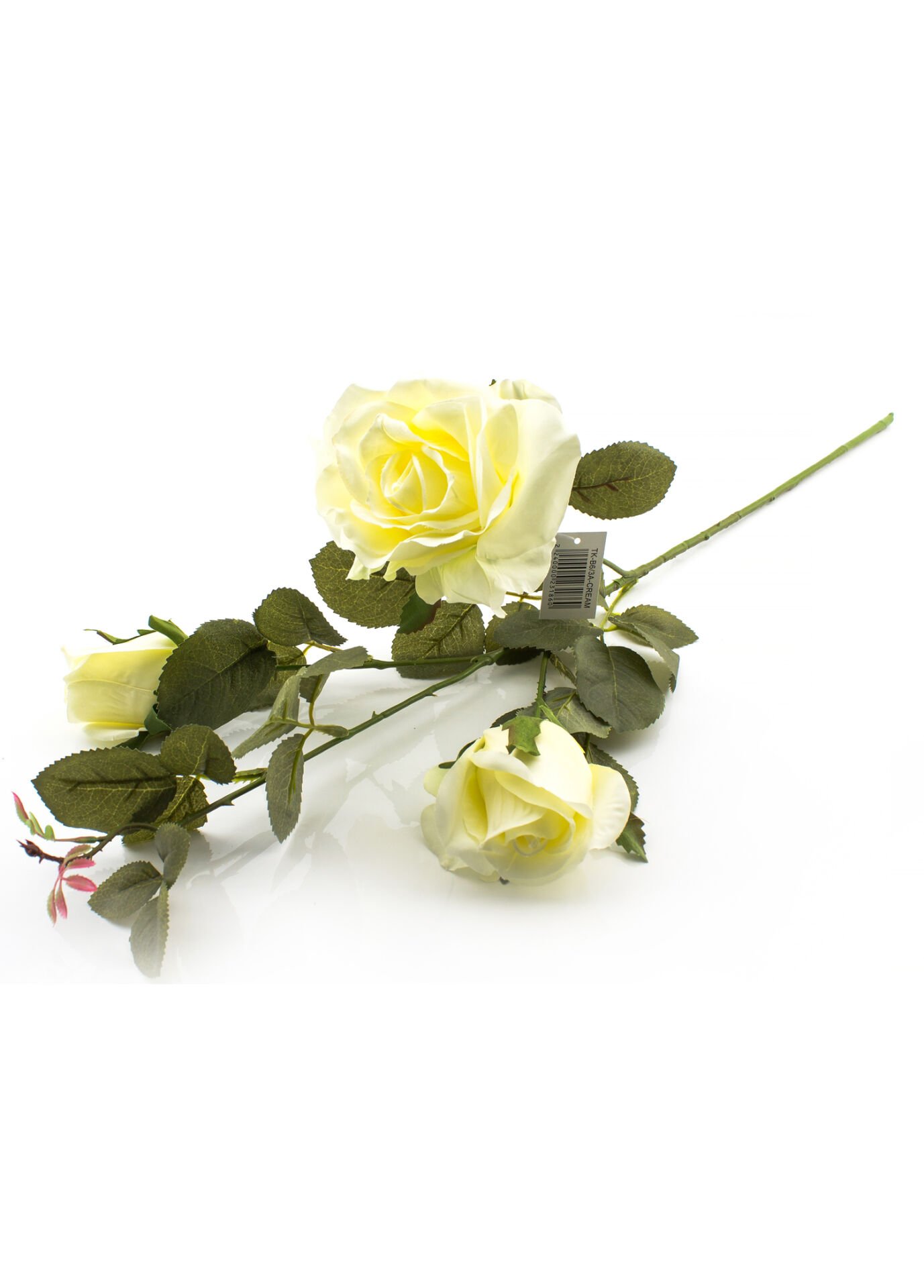 Gül Krem 65 cm