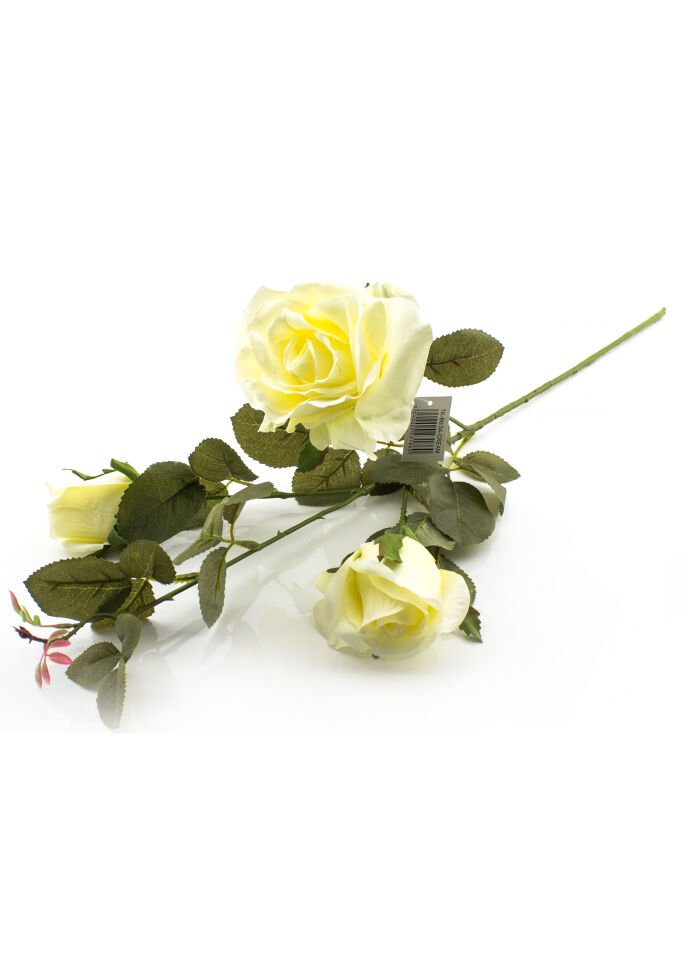 Gül Krem 65 cm