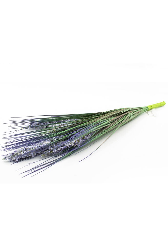 Mavi Gras 66 cm