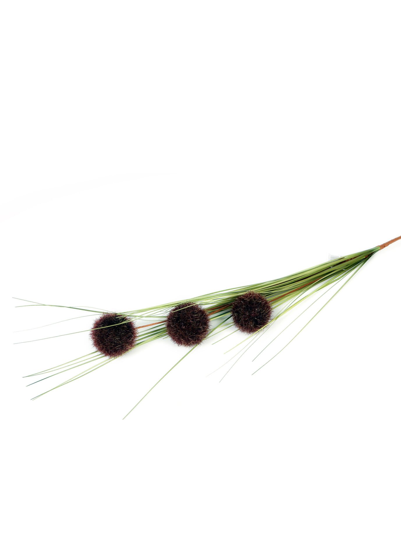 Kahve Soğan Çiçeği 95 cm