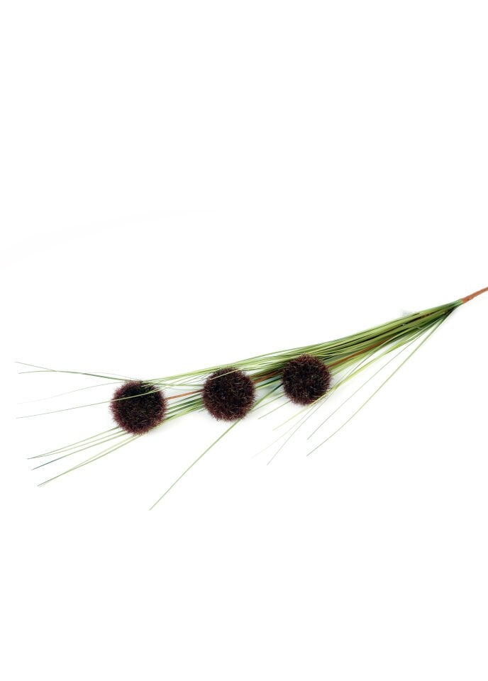 Kahve Soğan Çiçeği 95 cm
