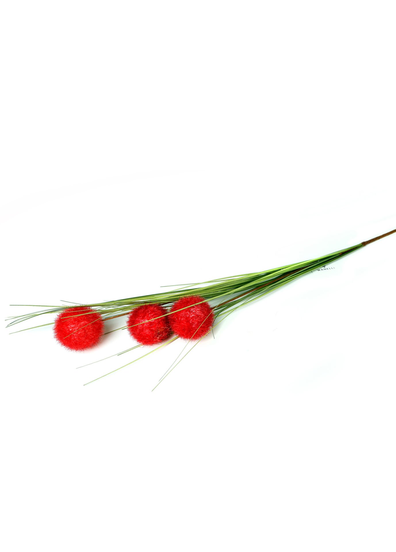 Kırmızı Soğan Çiçeği 95 cm