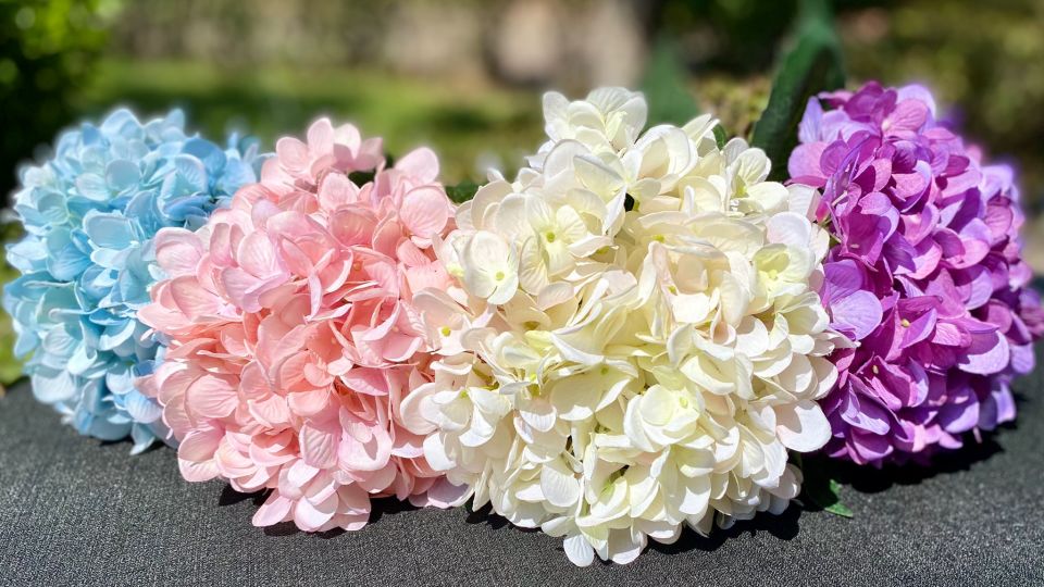 Ortanca Pembe 65 cm