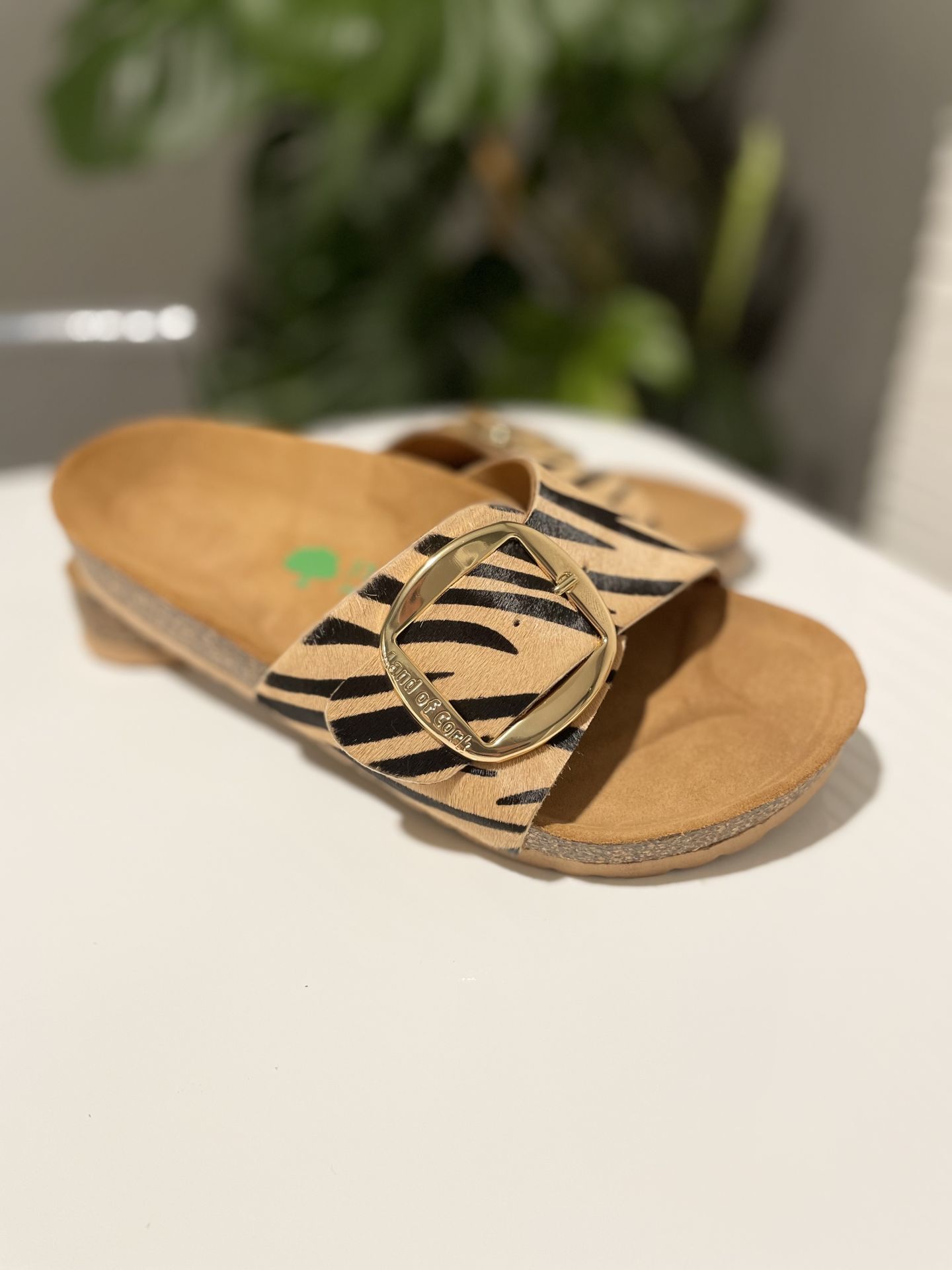 Land of Cork mantar taban zebra desen deri terlik