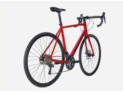 Lapierre Sensium 3.0 Disk Yol Yarış Bisikleti