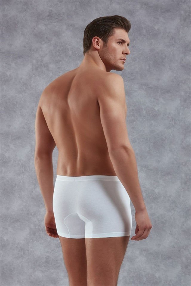 Erkek Modal Torbalı İnce Bel Bantlı Normal Paça Boxer 1770B S