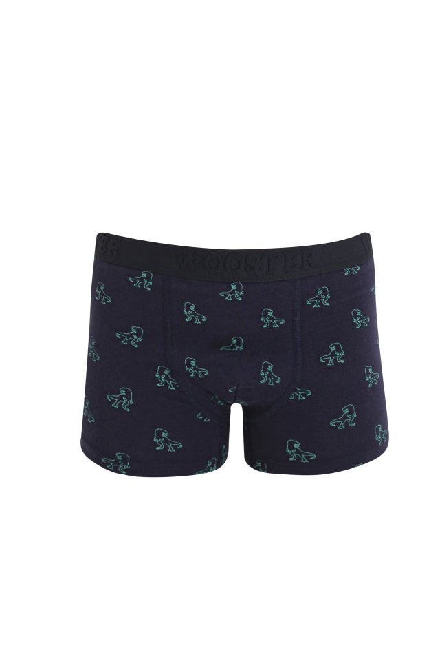 Dinazor Pamuklu Erkek Çocuk Boxer
