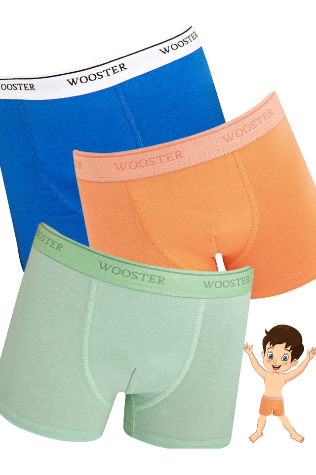 Wooster 3'lü Erkek Çocuk Pamuklu Boxer