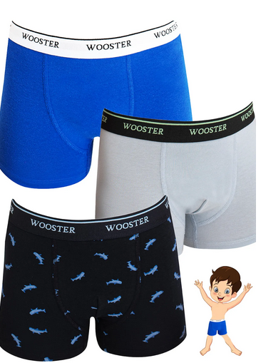 Wooster 3'lü Erkek Çocuk Pamuklu Boxer