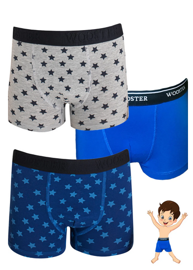Wooster 3'lü Erkek Çocuk Pamuklu Boxer