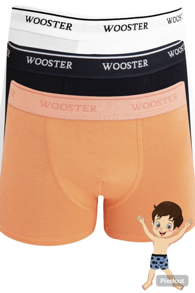 Wooster 3'lü Erkek Çocuk Pamuklu Boxer