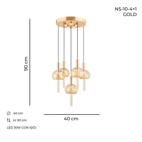NS-10 4+1 Gold