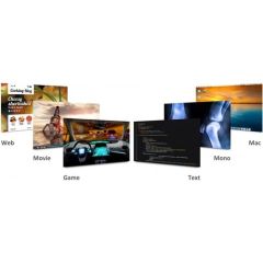 Viewsonic VX3418-2KPC-MHD 34'' 144Hz 1ms (HDMI+DP) Freesync Curved LED Monitör + Woodpad 10 Grafik Tablet
