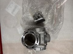 Dırtypaws 300 Z Silindir piston set