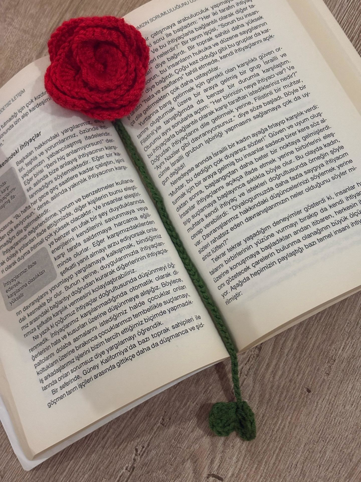 Gül Bahçesi Kitap Ayracı