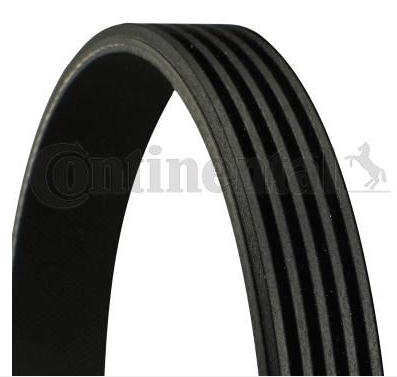 Bmw Klima Kayış  E39-E46 64557786171